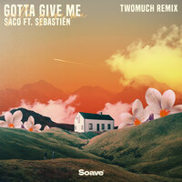 Saco & Sebastien - Gotta Give Me - TWOMUCH Remix