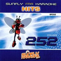 Sunfly Karaoke - Perfect (Exceeder) In the Style of Mason vs Princess Superstar