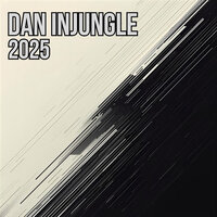 Dan InJungle - Like It Like That