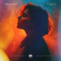 Bass On High & Lelya - Beats Like Fire