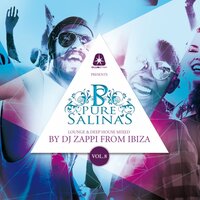 Pure Salinas, Vol. 8 (Compiled by DJ Zappi)