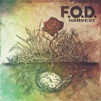 F.O.D. - Crew You