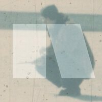 Literal Forms - Acoustic Survey