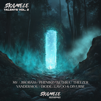 Skamele Talents Vol.2