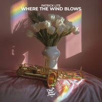 Patrick Lite - Where The Wind Blows