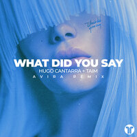 What Did You Say - Hugo Cantarra & Taim