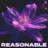 4B & Shotgun Knights & Reo Cragun - Reasonable
