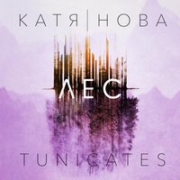 Самолёт - Катя Нова