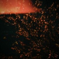 lost.empathy - forgive
