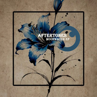 Aftertones - Moonwater