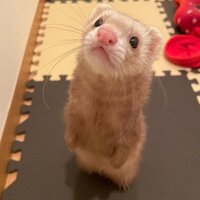 one direction what makes you beautiful