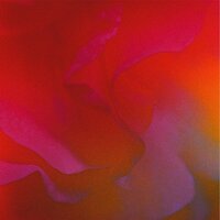 nate band - Miss Your Body