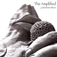 My Third Eye - The Amplified