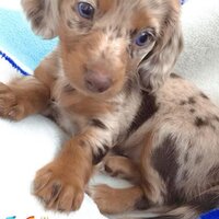 One of These Mornings