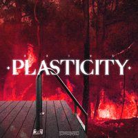 Plasticity