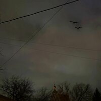 Черные Вороны (Не До Абстракций II)