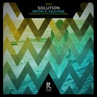 Solution - Dmitrii G & SoulFake & The Distance
