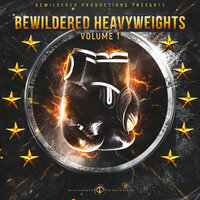 Bewildered Heavyweights Vol. 1, 2019