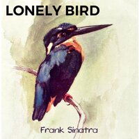 Lonely Bird