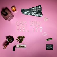 Trevor Something - Can You Feel It