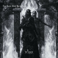 Sex Love and Hard City