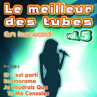 Le meilleur des tubes en karaoké, 2005