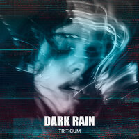 Dark Rain