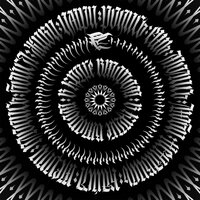 В круге втором