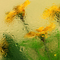 Farves & Duce - See You