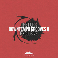 Downtempo Grooves II Exclusive, 2018