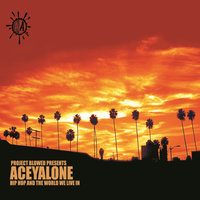 Hip Hop and the World We Live In