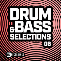 Drum & Bass Selections, Vol. 06