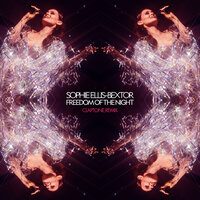 Freedom Of The Night