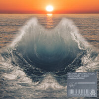 Delerium & Sarah McLachlan & John Summit & Dimension - Silence