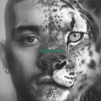 ZAYN - Die For Me