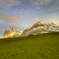 Guillermo Mas - Precious