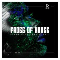 Faces of House, Vol. 13