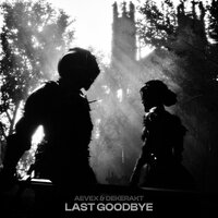 LAST GOODBYE