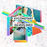 XYconstant & Ferdinand Weber - Silverlined