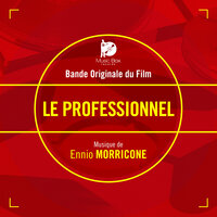 Le professionnel