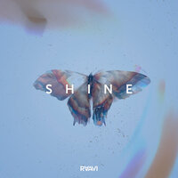 Shine