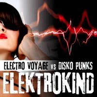 Elektrokind, 2009