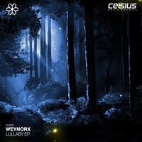 Weynorx - Played For You