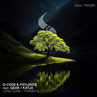 Long Gone / Thankful