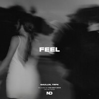 Gaullin & TRFN - Feel