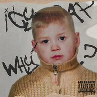 icytrap - Почему