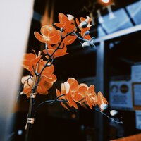 Blackboxx - A Break in the Air