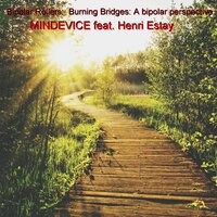 Bipolar Rollers: Burning Bridges: a Bipolar Perspective
