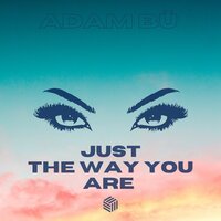 Adam Bü - Just the Way You Are