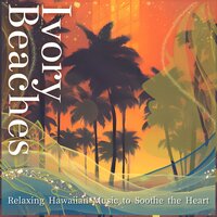 Ivory Beaches - Sea Turtle Journey Calm